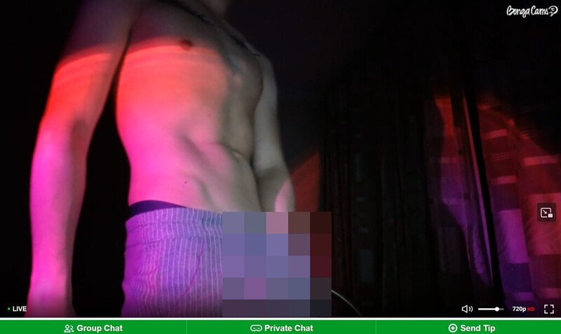 BongaCams offers brilliant cam shows hosted by gay no-face webcam men