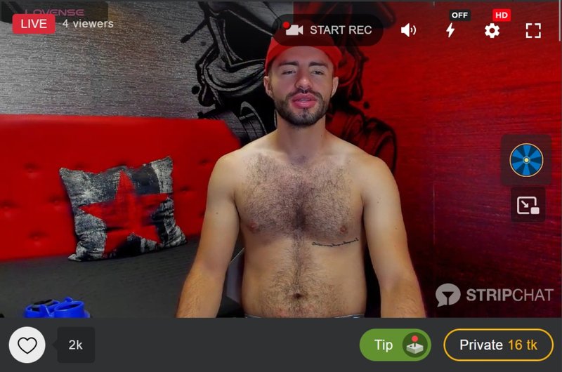 Stripchat has a category dedicated to all its hairy webcam guys