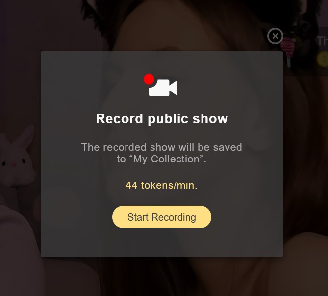 You decide if you want to pay to record public chats on Stripchat