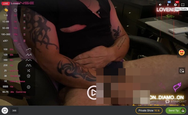 Stripchat offers hundreds of anonymous webcam hunks for private cam shows