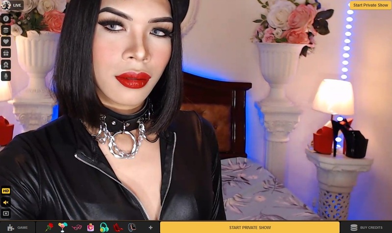 MyTrannyCams offers several fetish categories to find findom models