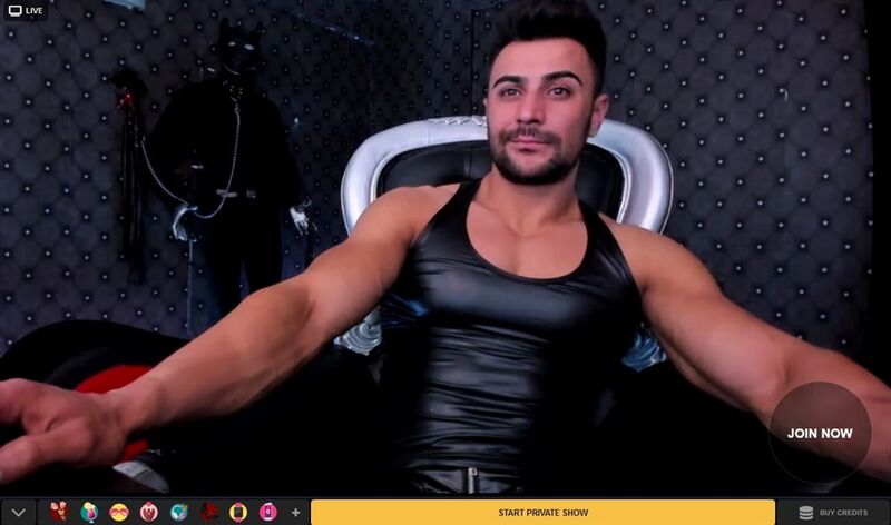 Hunky mulatto smirking at his viewers