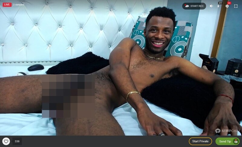 Stripchat features live cam gay ebony models hosting recordable free sex cam shows