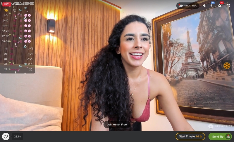 Stripchat accepts PayPal payments for MILF webcam chat sessions