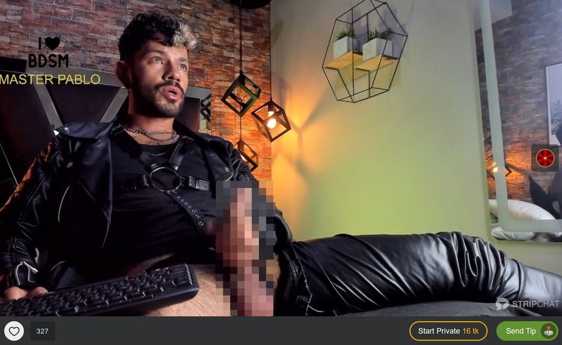 Stripchat offers a Daddy category occupied with up to 80 gorgeous webcam hunks