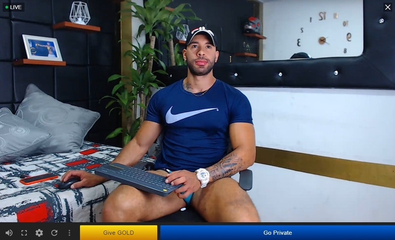 Streamen offers a Muscle categories to catch your best gay models